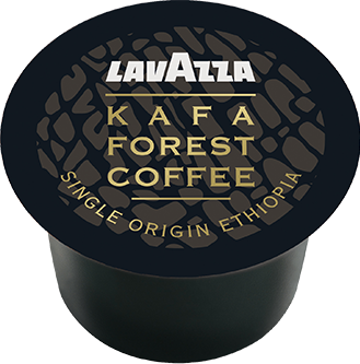 Capsules Blue Kafa Forest